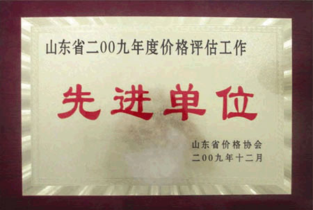 2009山东省保险中介行业协会“先进集体”荣誉