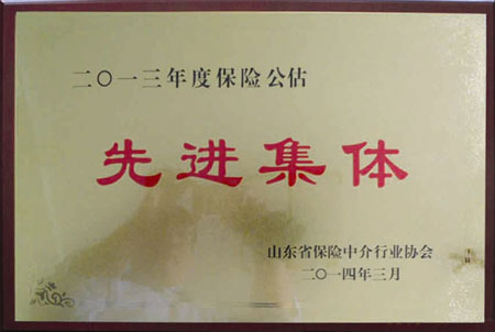 2013山东省保险中介行业协会“先进集体”荣誉